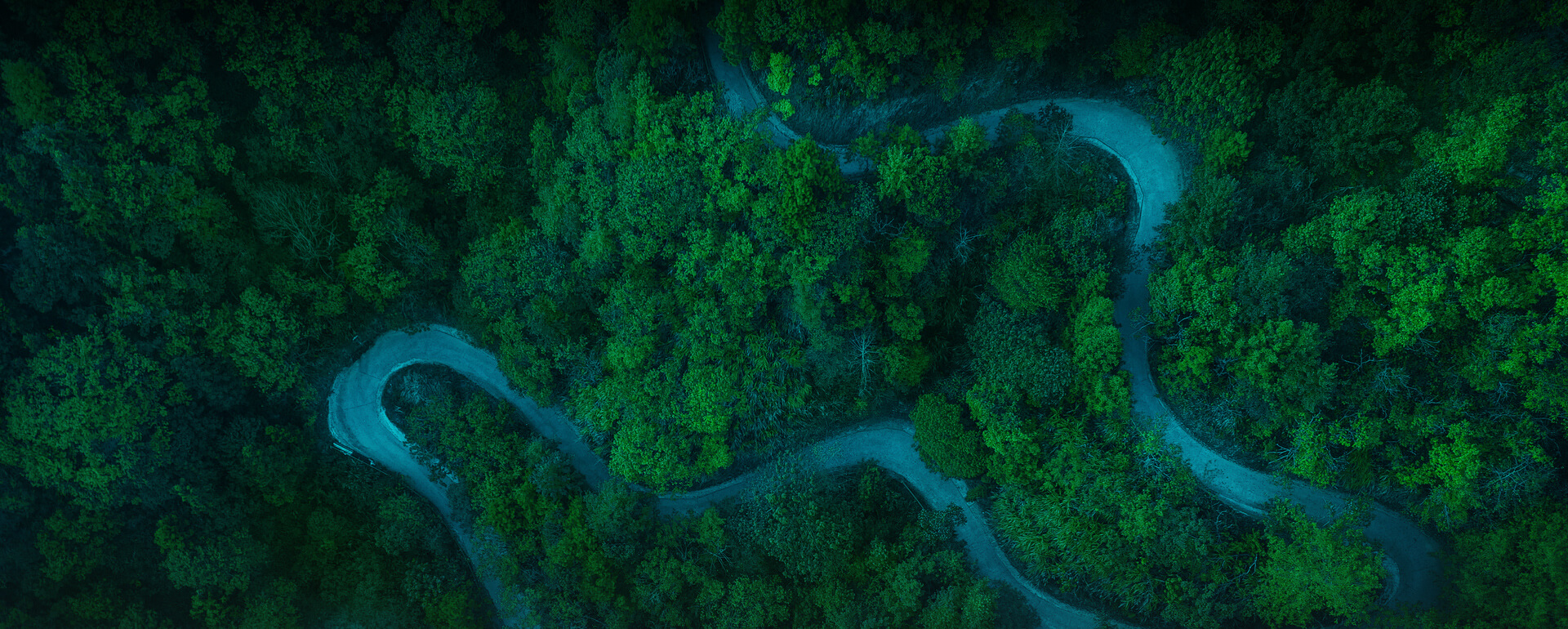 鋼板起重鉗banner